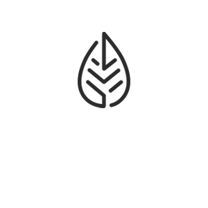 Blog Hồng Trà | Trà Đen